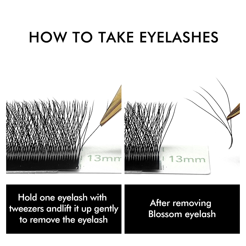 NATUHANA W자형 4D 5D 볼륨 속눈썹 연장 미 - Eyelash Extension For Asian Eyes 리뷰 및 가격