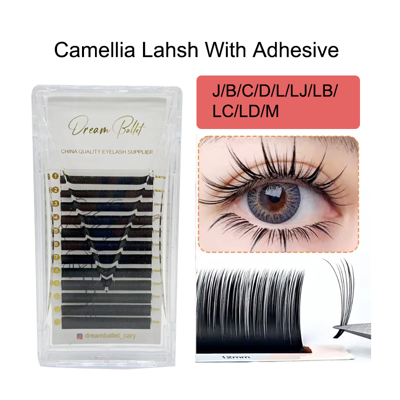 드림 발레 카멜리아 속눈썹 접착제 포함 LC LB LJ - Eyelash Extension For Asian Eyes 리뷰 및 가격