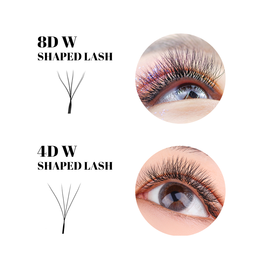 FADVAN W 모양 더블 레이어 속눈썹 8D/6D/1 - Eyelash Extension For Asian Eyes 리뷰 및 가격