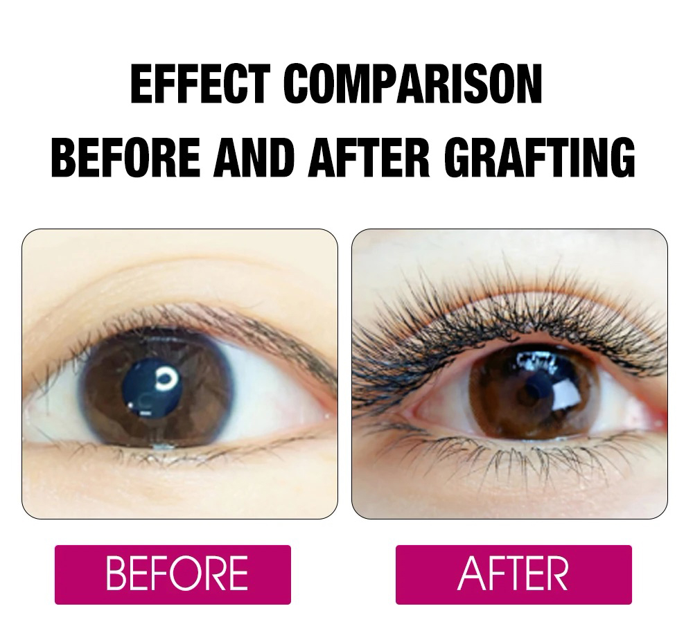 FADVAN 8D W 더블 레이어 4D W 모양 속눈썹 - Eyelash Extension Double Volume 리뷰 및 가격