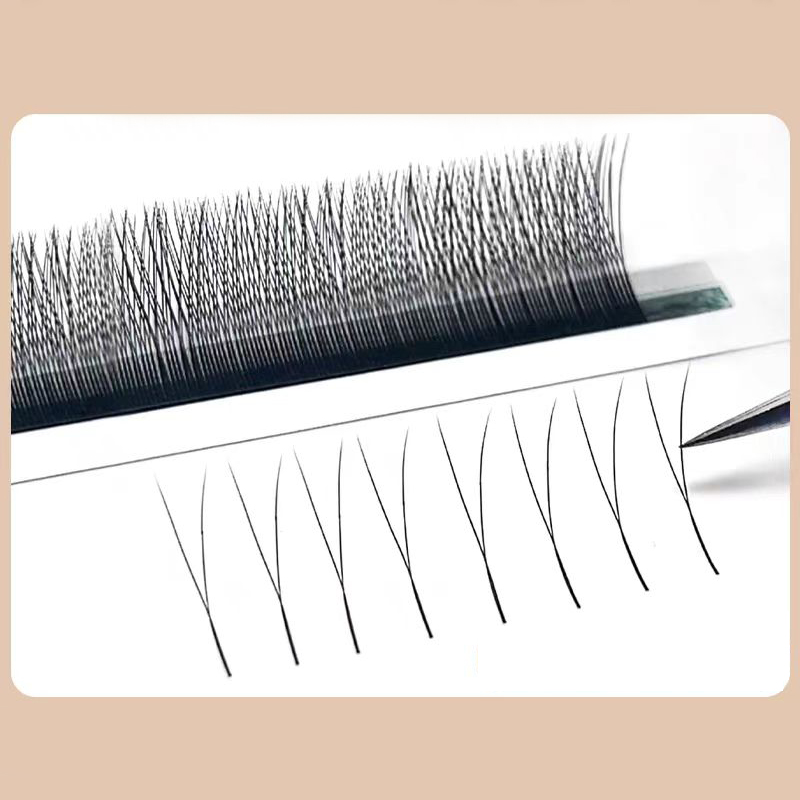 MARIA 2D Y 모양 속눈썹 핸드 프리미엄 2D 속 - Eyelash Extension For Asian Eyes 리뷰 및 가격