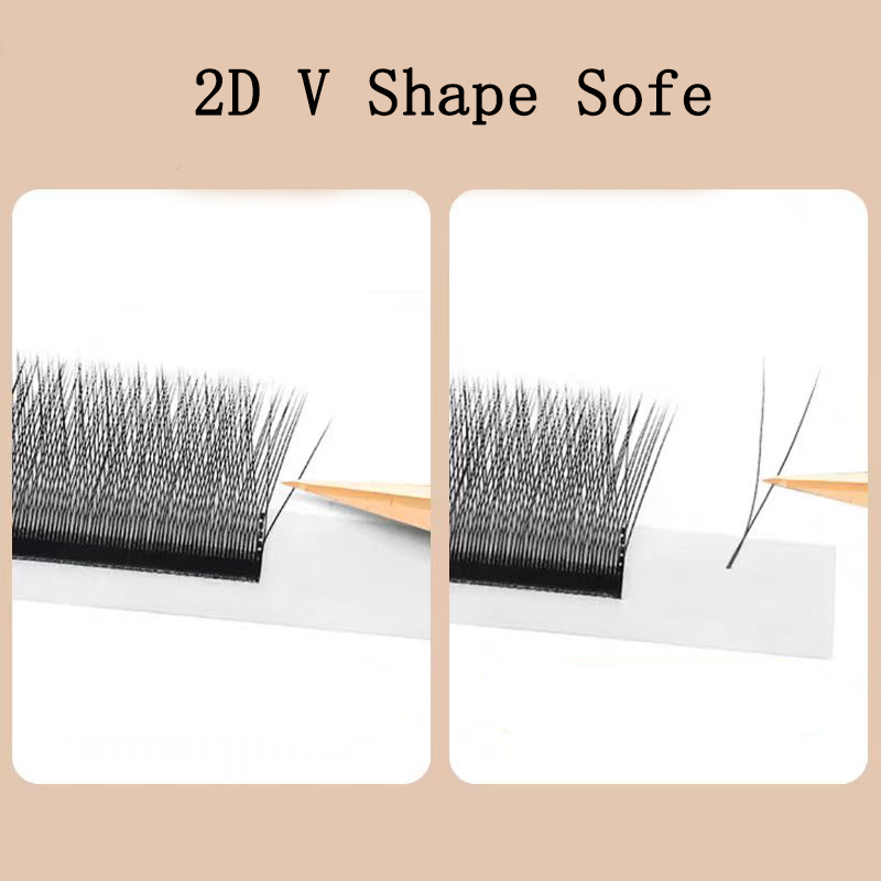 MARIA 2D Y 모양 속눈썹 핸드 프리미엄 2D 속 - Eyelash Extension For Asian Eyes 리뷰 및 가격